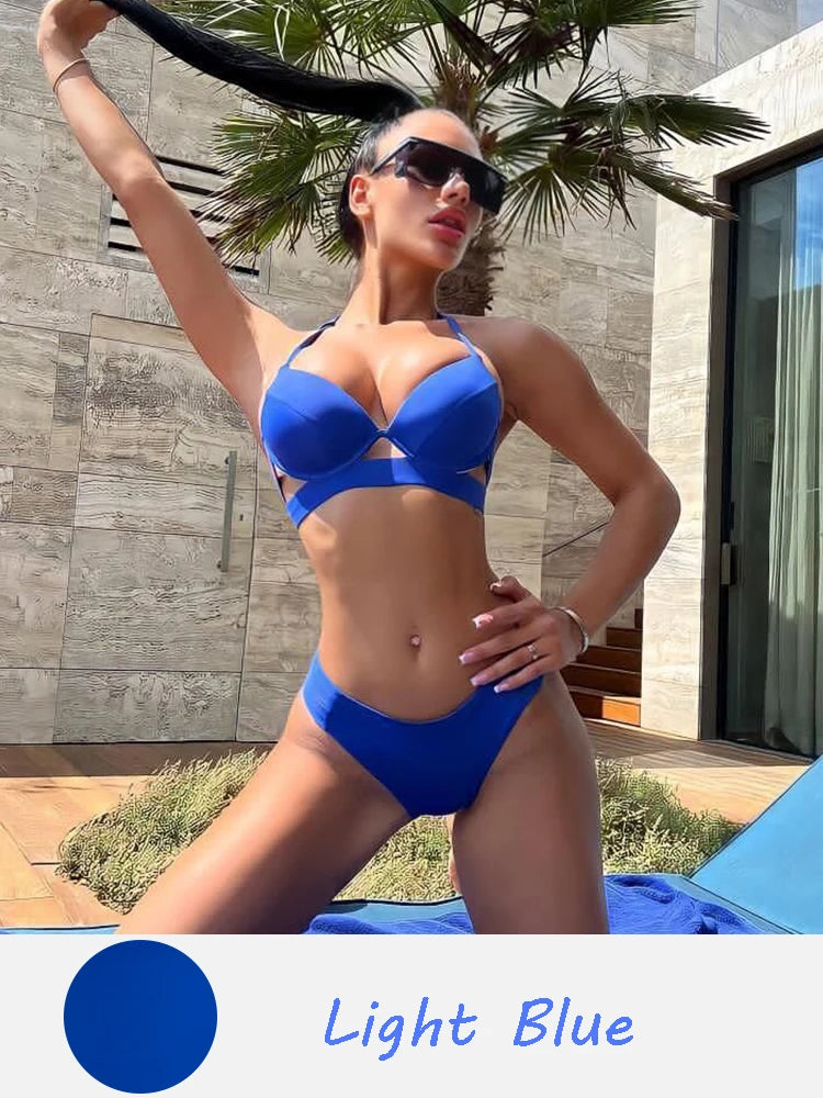 48081499554105|48081499586873|48081499619641